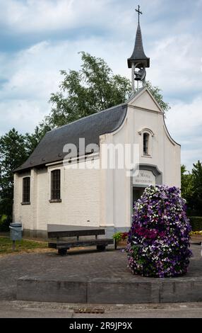 Laarne, Ostflämische Region, Belgien, 16. Juni 2023 - die weiße Berlinde-Kapelle mit Blumen Stockfoto