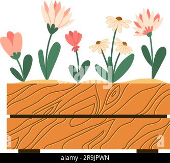 Illustration der Heimgärtnerei. Vektorblumen in Holzkiste Blumenbeet flache Vorlage isoliert Stock Vektor