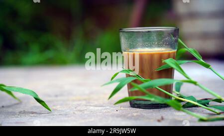 Tee mit frischer Milch oder indisches Kadak Chai. Stockfoto