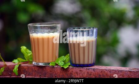 Tee mit frischer Milch oder indisches Kadak Chai. Stockfoto