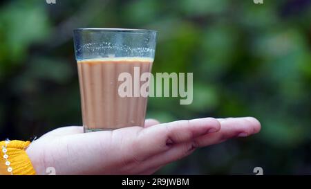 Tee mit frischer Milch oder indisches Kadak Chai. Stockfoto