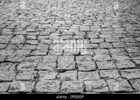 Die Textur der gepflasterten Fliesen unten auf der Straße. Stockfoto