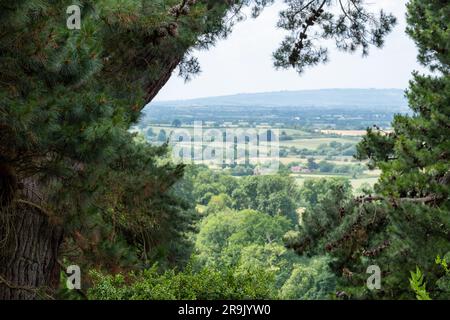 Blick durch die Bäume über den Malvern Hills von Kiftsgate Court Gardens, Gloucestershire in den Cotswolds, Großbritannien Stockfoto