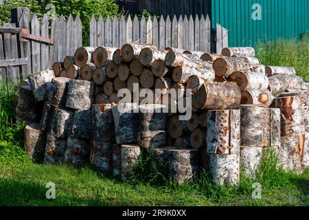 Im Frühling geschnittene und gestapelte Brennholzstämme zum Trocknen im Freien und zur Verbrennung in Holzöfen und Kamin zum Beheizen von Häusern im Winter Stockfoto
