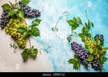 Stillleben verschiedener Weinsorten mit Blättern. Draufsicht Stockfoto