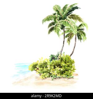 Tropische Palmen, handgezeichnete Aquarelle, isoliert auf weißem Hintergrund Stockfoto