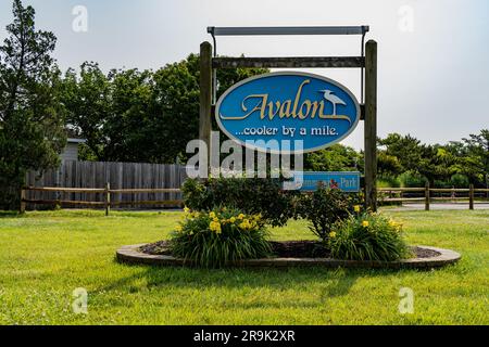 Avalon, New Jersey – 17. Juni 2023: Avalon, New Jersey, Willkommensschild mit blühenden Blumen, bereit für die Sommersaison am Strand Stockfoto