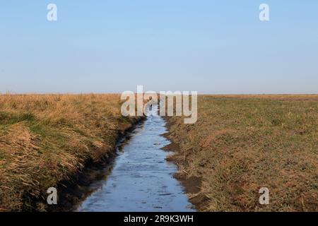 Entwässerungsgraben an der Nordsee, Deutschland im Herbst Stockfoto