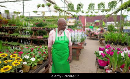 Ein glücklicher leitender afroamerikanischer Mitarbeiter in Green Apron posiert in einem geräumigen Werkshaus vor Ort Stockfoto