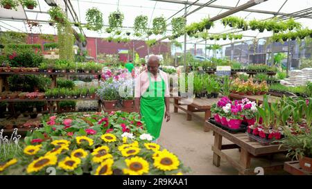 Ein glücklicher leitender afroamerikanischer Mitarbeiter in Green Apron posiert in einem geräumigen Werkshaus vor Ort Stockfoto