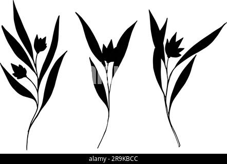 Satz von Vektorsilhouetten von Zweigen mit Blättern und Blumen. Tinte, die wilde Pflanzen zeichnet, Kräuter, monochrome botanische Illustration. Isolierte Cliparts für Stock Vektor