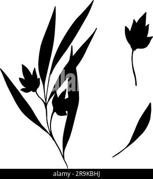 Satz von Vektorsilhouetten von Zweigen mit Blättern und Blumen. Tinte, die wilde Pflanzen zeichnet, Kräuter, monochrome botanische Illustration. Isolierte Cliparts für Stock Vektor