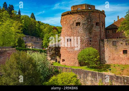 HEIDELBERG, BADEN-WÜRTTEMBERG, DEUTSCHLAND - CIRCA MAI 2023: Schloss Heidelberg und Schlossgarten Heidelberg. Stockfoto