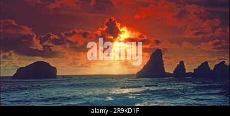 Pointe des Châteaux, Guadeloupe, Frankreich Stockfoto