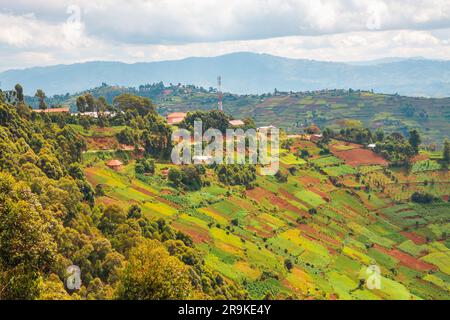 Malerischer Blick auf die Stadt Kisoro mit Mount Muhabura im Hintergrund im ländlichen Uganda Stockfoto