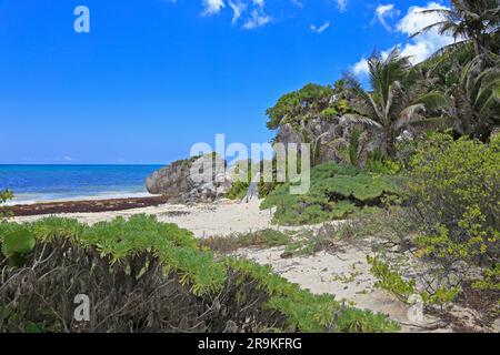 Klippen und Strand unter den Ruinen von Tulum im Tulum National Park, Tulum, Quintana Roo, Mexiko. Stockfoto