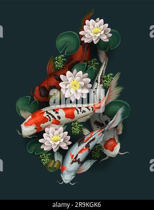 Koi-Fische und Lotus isoliert. Vektor. Stock Vektor