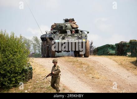 M8 Greyhound American 6x6 Leichtes gepanzertes Auto. Tankfest 23, Bovington, Großbritannien Stockfoto