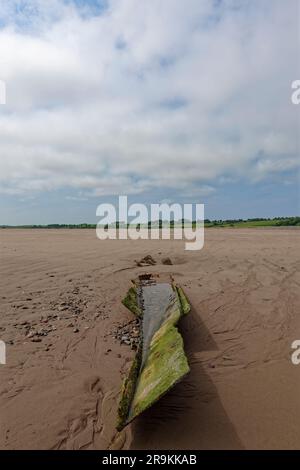 Die Metallplatten und Trümmer, die vom marinen Wachstum der Hülle eines alten Schiffbruchs bedeckt sind, am nördlichen Ende von Montrose Beach. Stockfoto