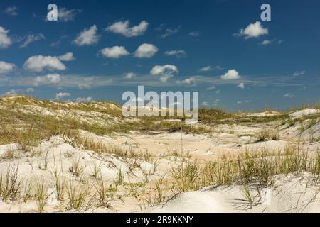 Sanddünen auf Anastasia Island in Florida Stockfoto