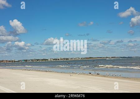 Anastasia Beach in der Nähe von Saint Augustine in Florida mit Blick auf Villano Beach Stockfoto