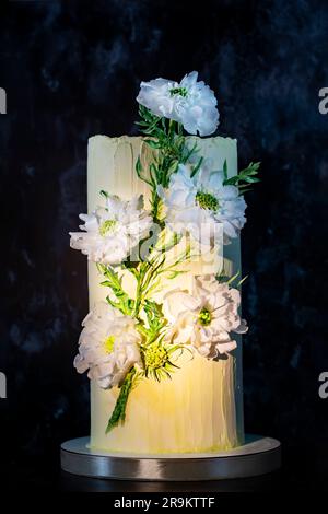 Eine Hochzeitstorte, dekoriert mit großen weißen süßen Blumen auf dunkelblauem Samthintergrund. Ein großer wunderschöner, köstlicher Kuchen ist für einen Geburtstag dekoriert Stockfoto