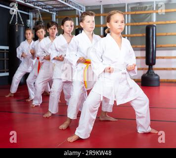 Kinder posieren zusammen und üben Karate-Bewegungen Stockfoto