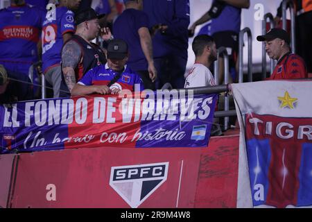 Sao Paulo, Brasilien. 27. Juni 2023. SP - SAO PAULO - 06/27/2023 - COPA SUL-AMERICANA 2023, SAO PAULO X TIGRE - Tigre-Fans während eines Spiels gegen Sao Paulo im Morumbi Stadion für die Copa Sudamericana Championship 2023. Foto: Ettore Chiereguini/AGIF/Sipa USA Guthaben: SIPA USA/Alamy Live News Stockfoto