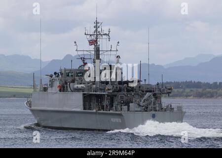 UNS Chernihiv (M310), ein Minenjäger der Sandown-Klasse, der von der ukrainischen Marine betrieben wird, vorbei an Greenock am Firth of Clyde. Das Schiff nimmt an der Übung Sea Breeze 23-1 Teil (in Anerkennung des provisorischen Gastgeberlandes Alba Breeze genannt), einer multinationalen Militärübung, die dieses Jahr in Schottland statt dem üblichen Gastgeberland der Ukraine stattfindet. Dieses Schiff diente bei der britischen Royal Navy als HMS Grimsby (M108), bis es 2022 stillgelegt und Anfang dieses Jahres in die ukrainische Marine überführt wurde. Das ist ihre erste Marineübung in den Händen ihrer neuen Besitzer. Stockfoto