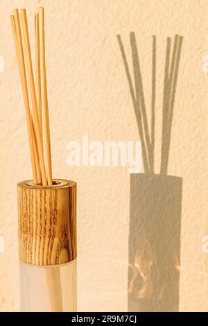 Flasche Schilf-Aroma-Diffusor bei Nahaufnahmen mit natürlichem Sonnenlicht. Schatten an der Wand, minimalistisches Stillleben Stockfoto