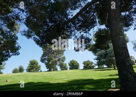 Covina Hills, Kalifornien, USA 26. Juni 2023 Forest Lawn Memorial Park Covina Hills am 26. Juni 2023 in Covina Hills, Kalifornien, USA. Foto: Barry King/Alamy Stock Photo Stockfoto