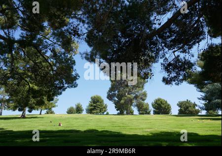 Covina Hills, Kalifornien, USA 26. Juni 2023 Forest Lawn Memorial Park Covina Hills am 26. Juni 2023 in Covina Hills, Kalifornien, USA. Foto: Barry King/Alamy Stock Photo Stockfoto