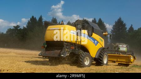 Volkovce, Slowakei - 26. Juni 2023 : der moderne Mähdrescher, der reife Weizenkörner erntet. Landmaschinen. Stockfoto