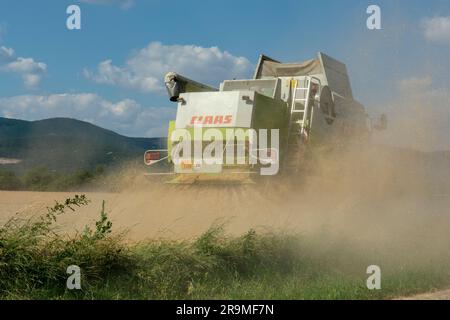 Volkovce, Slovakia - June, 26, 2023 : The modern combine harvester harvesting ripe wheat grains. Agricultural machinery. Stockfoto