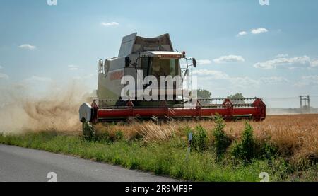 Volkovce, Slowakei - 26. Juni 2023 : der moderne Mähdrescher, der reife Weizenkörner erntet. Landmaschinen. Stockfoto