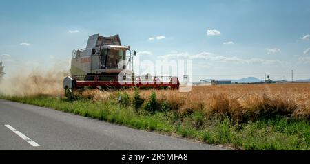 Volkovce, Slowakei - 26. Juni 2023 : der moderne Mähdrescher, der reife Weizenkörner erntet. Landmaschinen. Stockfoto