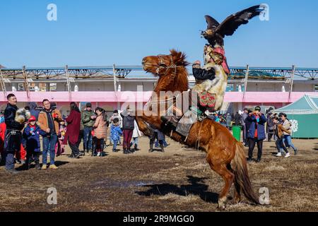 Dalaikhan Boshain, ein Adlerjäger, tritt am 18. März 2023 mit seinem Adler in einem Stadion in Erdenet, Provinz Orkhon, Mongolei auf. Dalaikhan kam mit anderen Jägern aus der Provinz Bayan-Ulgii, um während Nauryz, einem Frühlingsfest, das jedes Jahr im März stattfindet, aufzutreten. (Khorloo Khukhnohoi/Global Press Journal) Stockfoto