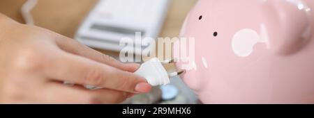 Sparschwein mit Netzstecker, Banknoten und Münzen Stockfoto