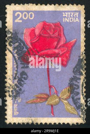 INDIEN - CIRCA 1977: Von Indien gedruckter Stempel, zeigt Blumenrose, circa 1977 Stockfoto