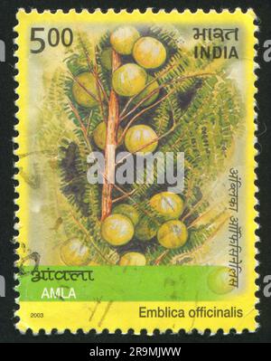 INDIEN - CIRCA 2003: Von Indien gedruckter Stempel, zeigt die Pflanze Emblica officinalis, circa 2003 Stockfoto