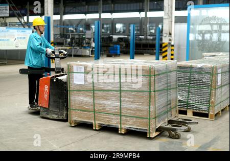 HAI'AN, CHINA - 28. JUNI 2023 - Arbeiter verarbeiten Aluminiumrahmen für Photovoltaik-Kraftwerke in einer Werkstatt in Hai'an, Provinz Jiangsu, China, Stockfoto