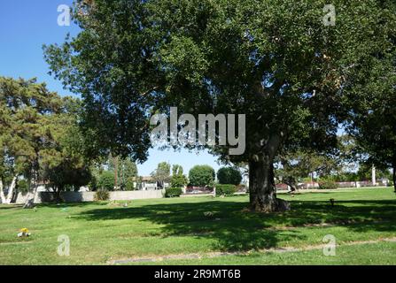 Glendora, Kalifornien, USA 26. Juni 2023 Schauspielerin Sally Rand, alias Helen Gould Beck Grave in Elm Lawn im Oakdale Memorial Park am 26. Juni 2023 in Glendora, Kalifornien, USA. Foto: Barry King/Alamy Stock Photo Stockfoto