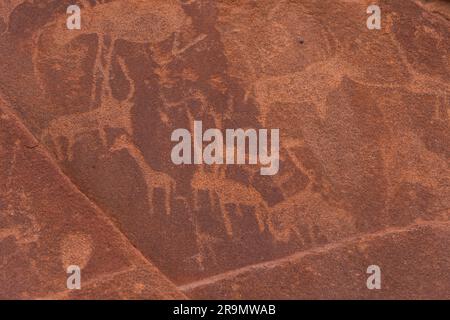 Eine Tierherde, die bei Twyfelfontein (Afrikaans: Unsicherer Frühling) in Felsen eingraviert wurde und offiziell als ǀUi-ǁAis (Damara/Nama: Springwasserloch) bekannt ist, ist eine Stockfoto