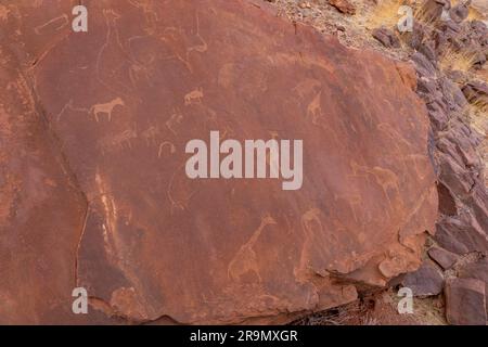 Eine Tierherde, die bei Twyfelfontein (Afrikaans: Unsicherer Frühling) in Felsen eingraviert wurde und offiziell als ǀUi-ǁAis (Damara/Nama: Springwasserloch) bekannt ist, ist eine Stockfoto