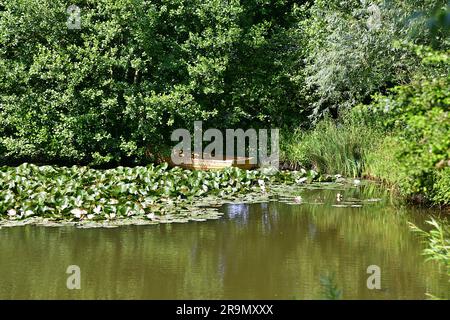 Charleston Farmhouse, West Firle, Lewes, Sussex, Vereinigtes Königreich Bloomsbury Group Stockfoto