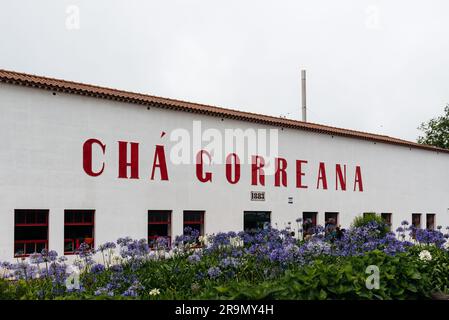 Ponta Delgada, Portugal - 5. Juli 20223: Gorreana Tea Factory. Es ist die älteste Teeplantage in Europa. Sao Miguel Island, Azoren Stockfoto