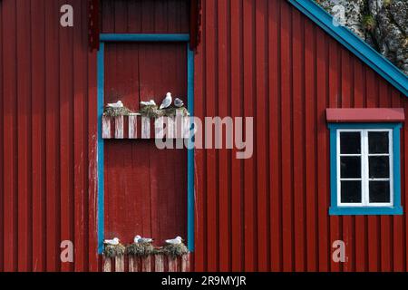 A i Lofoti, Fischerdorf Museum, Lofoten, Norwegen Stockfoto