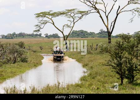 Afrika, Tansania, Serengeti-Nationalpark, Safari-Touristen in einem offenen Land Rover, der eine Wasserbarriere überquert Stockfoto