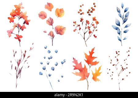 Große Auswahl an botanischen, wasserfarbenen Herbstblütenelementen isoliert auf weißem Hintergrund Stock Vektor