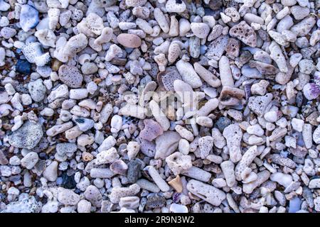 Hintergrund liegender Kleinschalen und Kieselsteine. Ruhen Sie sich auf dem Meer aus. Natürlicher abstrakter Hintergrund für Ihren Desktop. Stockfoto